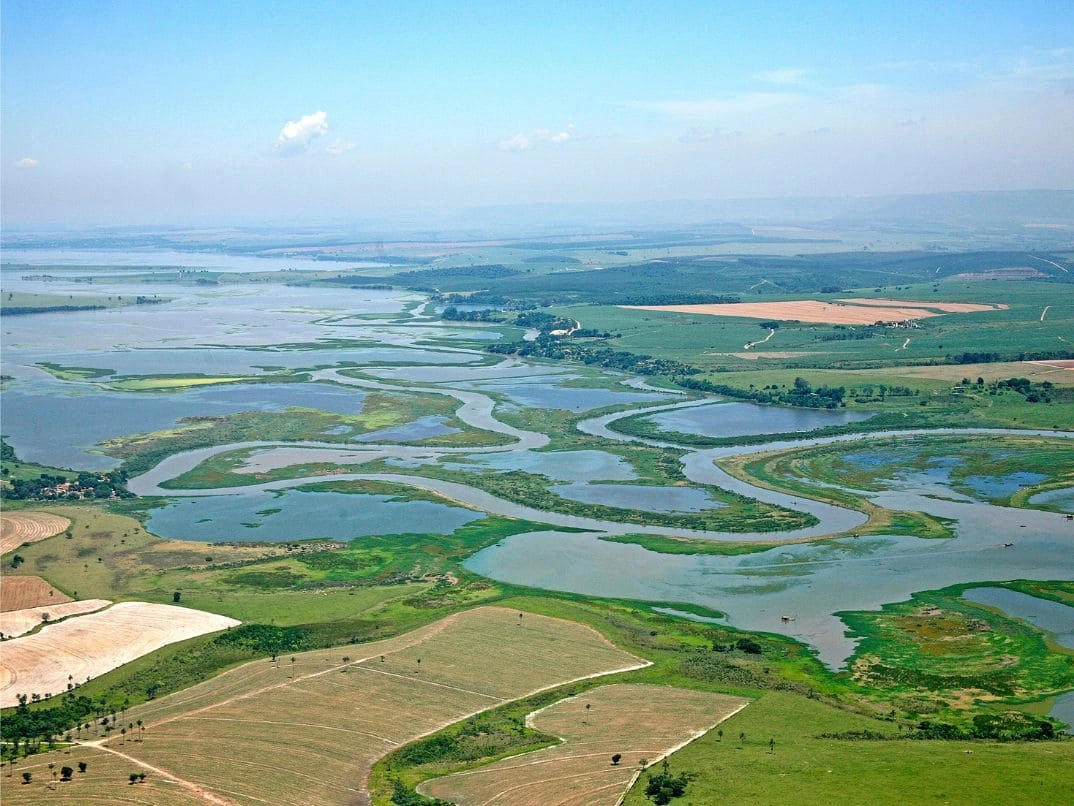 Unidos pelo Tanquã mobiliza voluntários para retirar lixo do Mini Pantanal durante o Dia Mundial da Limpeza