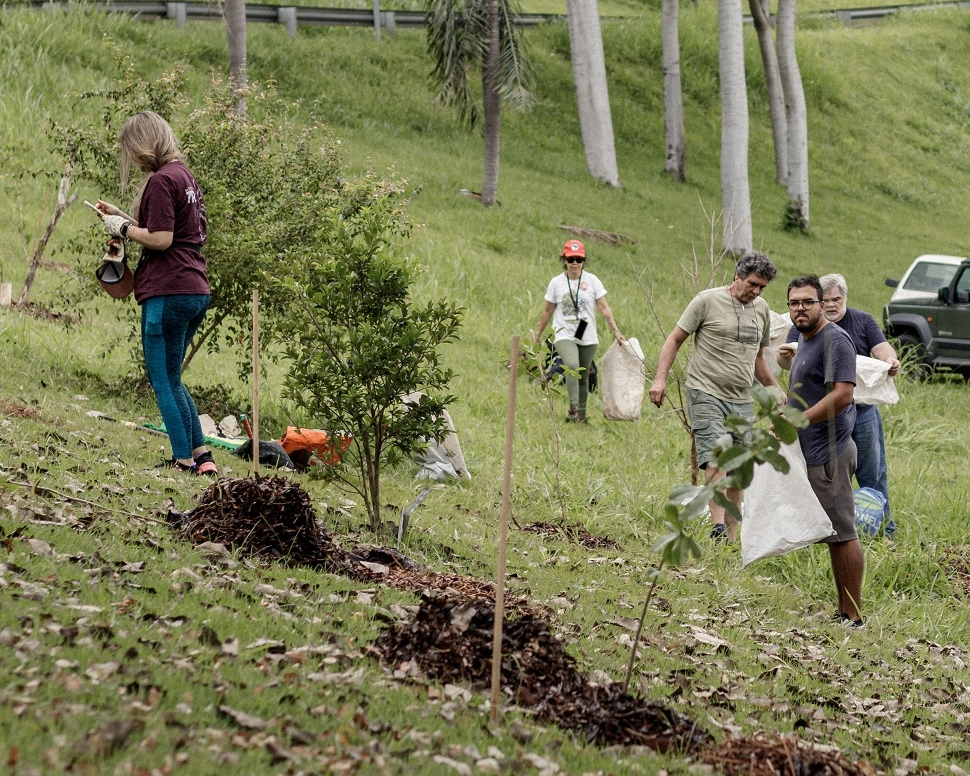 Grupo realiza quinto plantio voluntário de mudas em Piracicaba