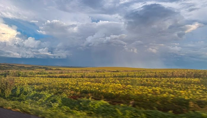 Semana intercala chuvas isoladas e dias de sol no Paraná, prevê Simepar