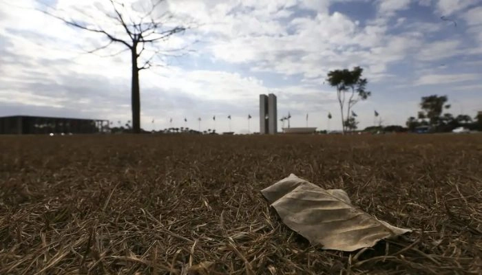 Aquecimento além de 1,5°C ameaça saúde, agricultura e economia