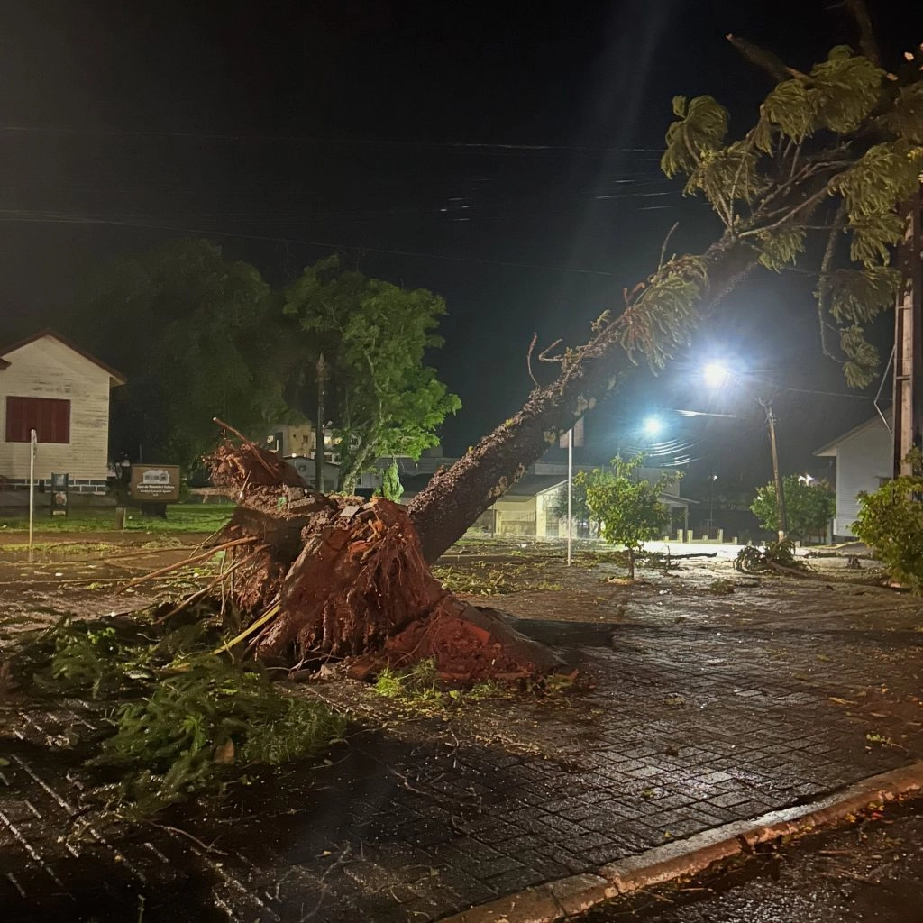 Temporal provoca destelhamentos e queda de árvores em Laranjeiras do Sul