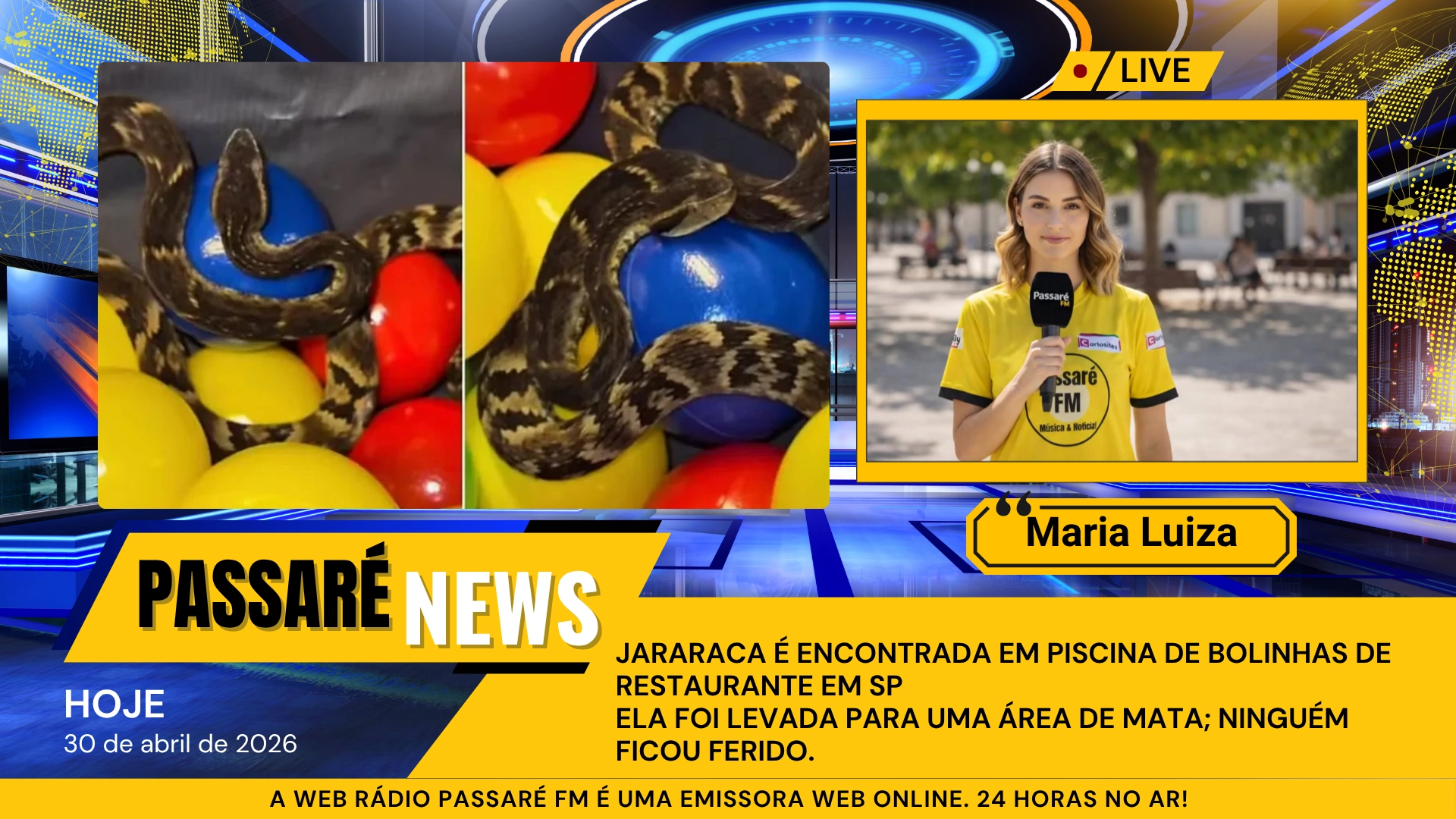 Imagem de exemplo