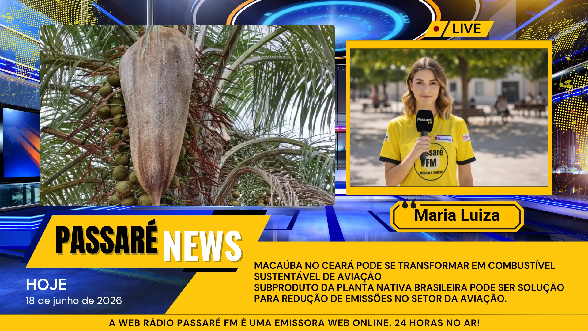 Imagem de exemplo