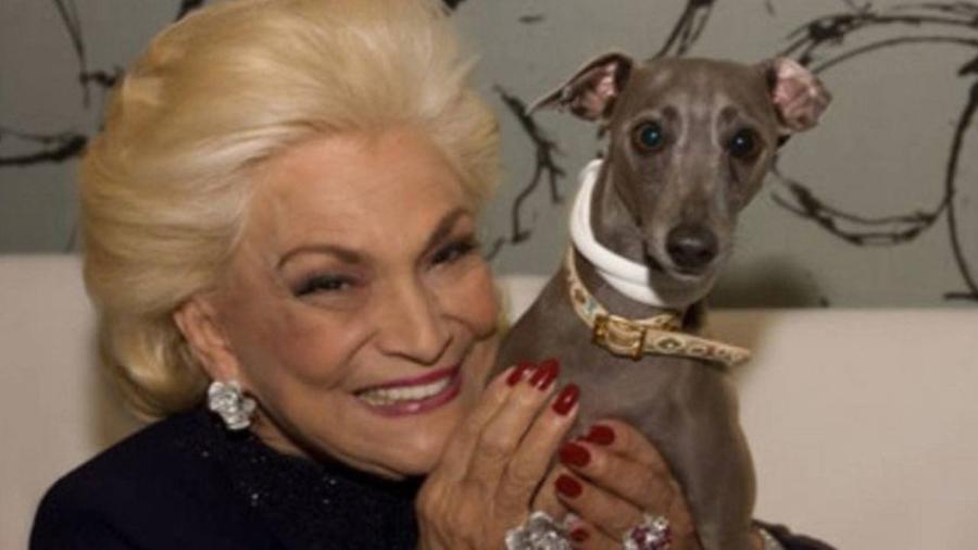 Pet que dormia com Hebe hoje é de ex-funcionária da apresentadora