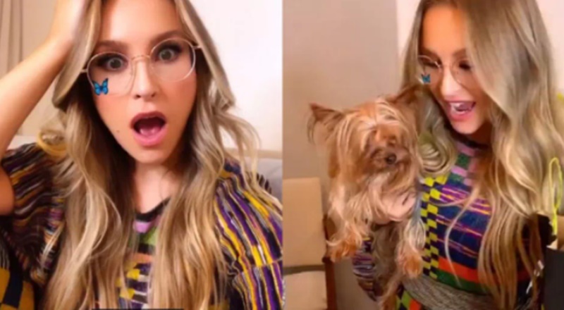Carla Diaz recebe presentes de fãs, mas puxa a orelha: “Tem gente precisando de ajuda”