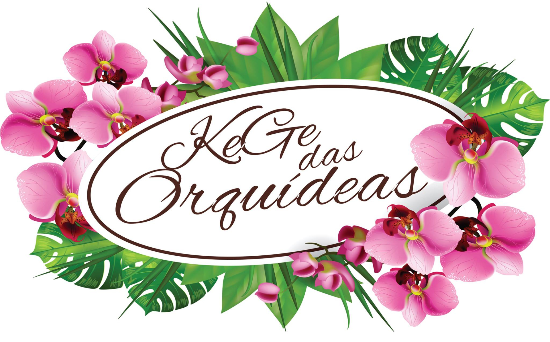 Festival de orquídeas   KeGe das Orquideas !!!!!
