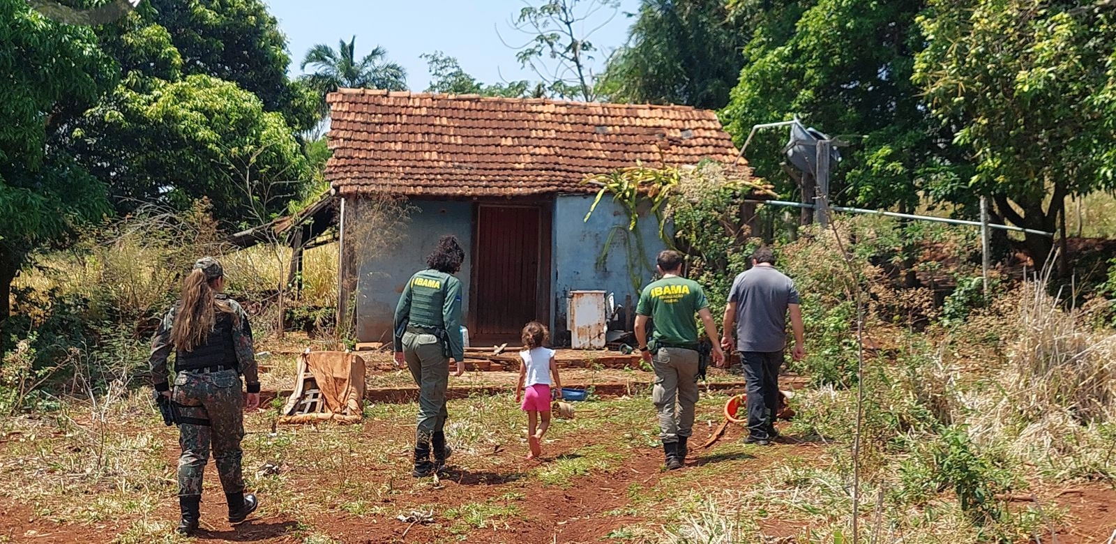 Polícia Militar Ambiental acompanha relatos de onça-pintada em área rural de Campo Grande MS