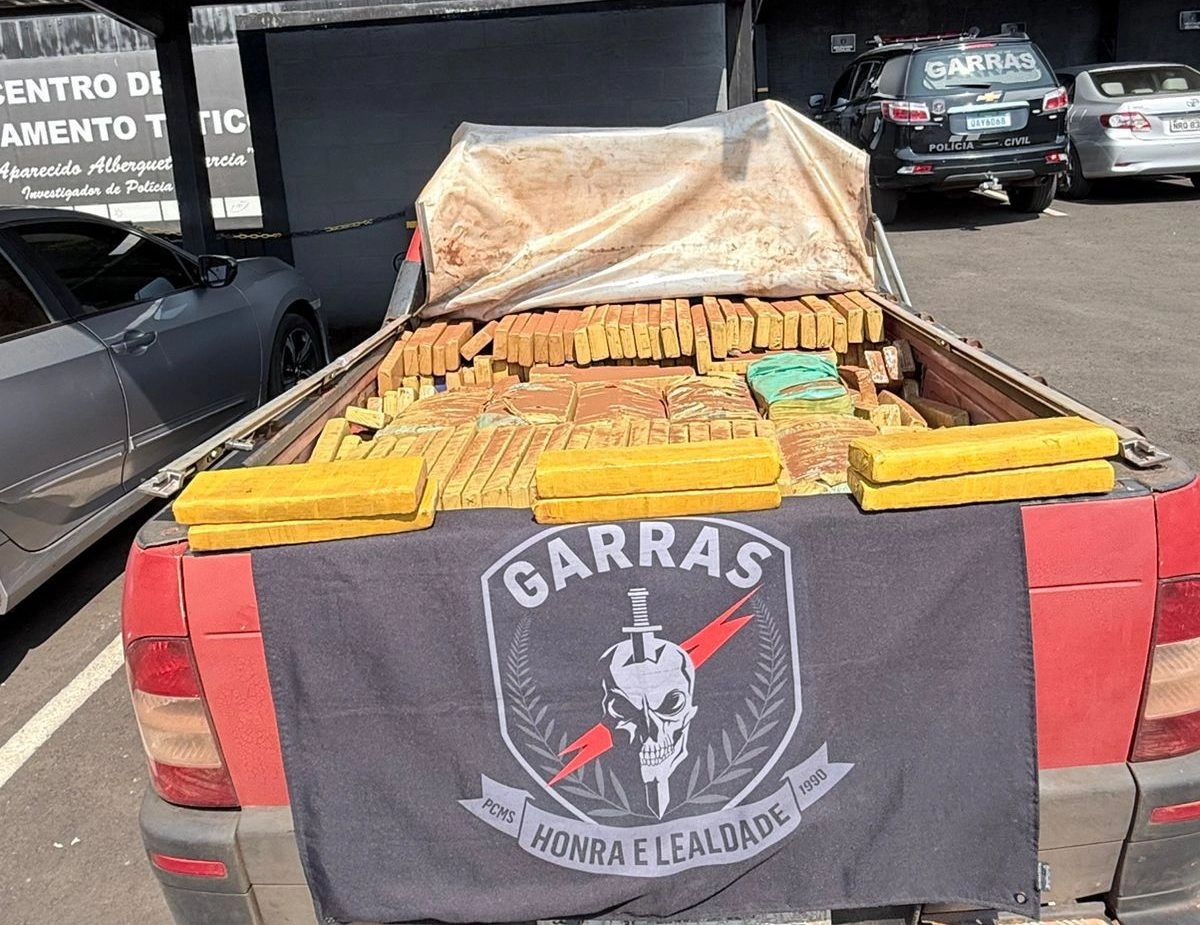 Polícia Civil apreende mais de 800 kg de maconha e prende homem em flagrante na Capital