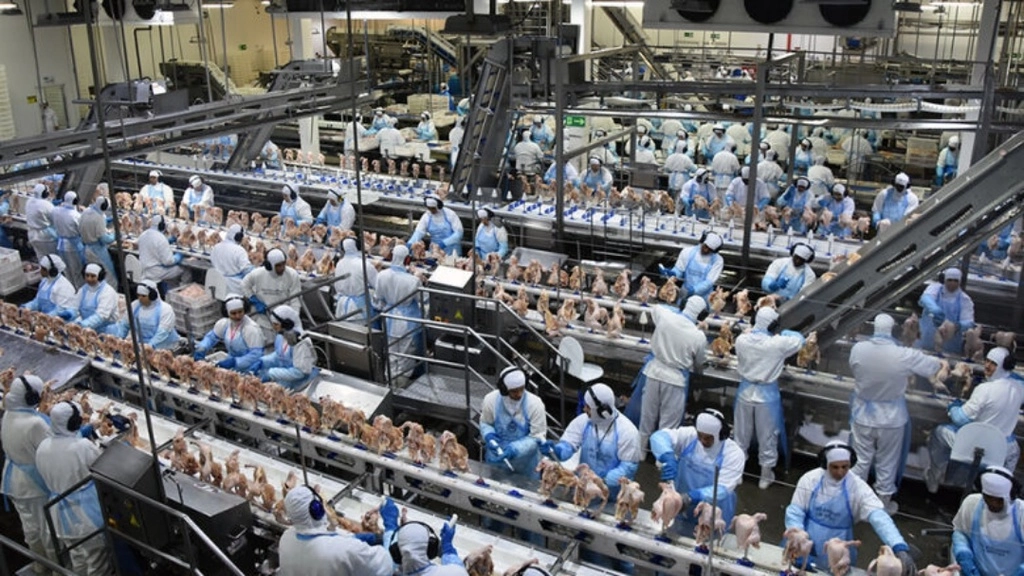 Exportações de Mato Grosso do Sul chegam a US$ 7,2 bilhões até julho
