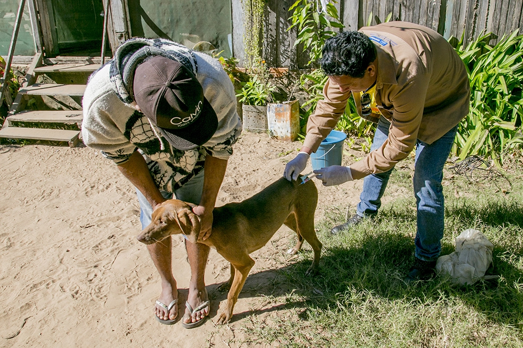 Vacinação antirrábica segue em Corumbá; Generoso recebeu ação nesta quinta