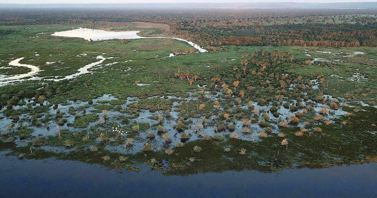 Pantanal: enfrentar mudanças climáticas depende de outros cinco biomas