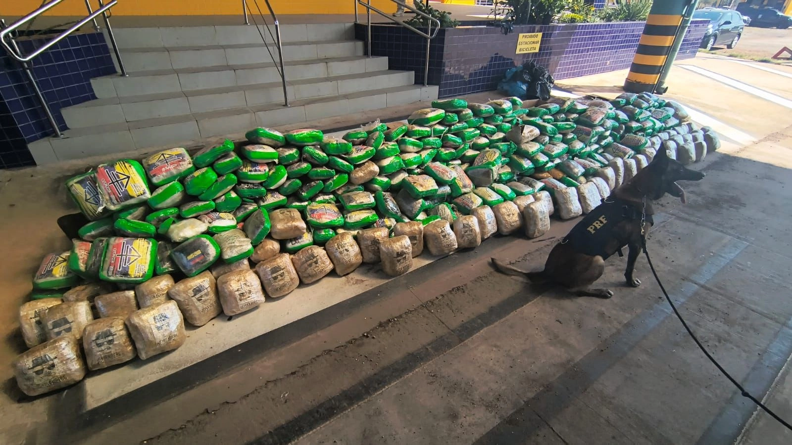 PRF apreende mais de 300 kg de drogas durante abordagem na BR-364 em Mato Grosso