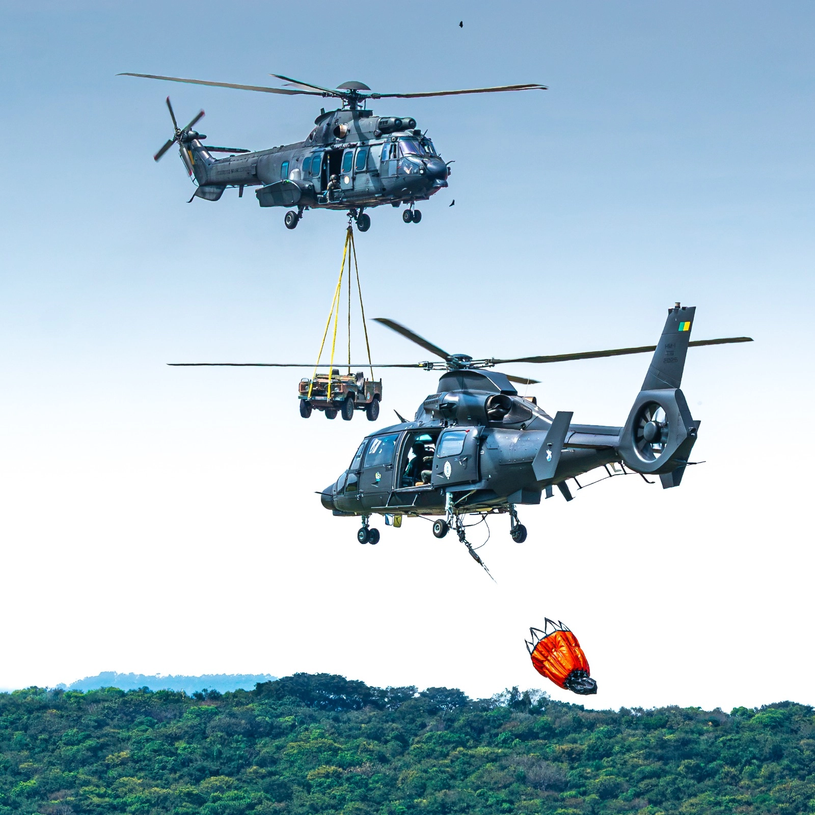 Aviação do Exército celebra 40 anos de recriação