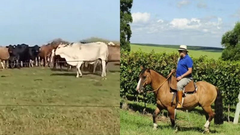 Aos 76 anos, apresentador comanda fazenda de mais de 100 hectares usada como refúgio no RS