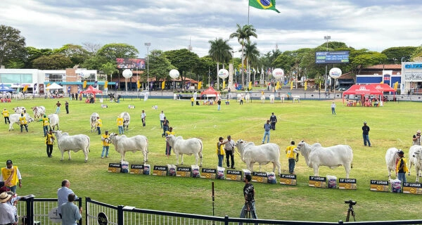 ACNB abre inscrições para a 55ª Expoinel, em outubro, em Uberaba