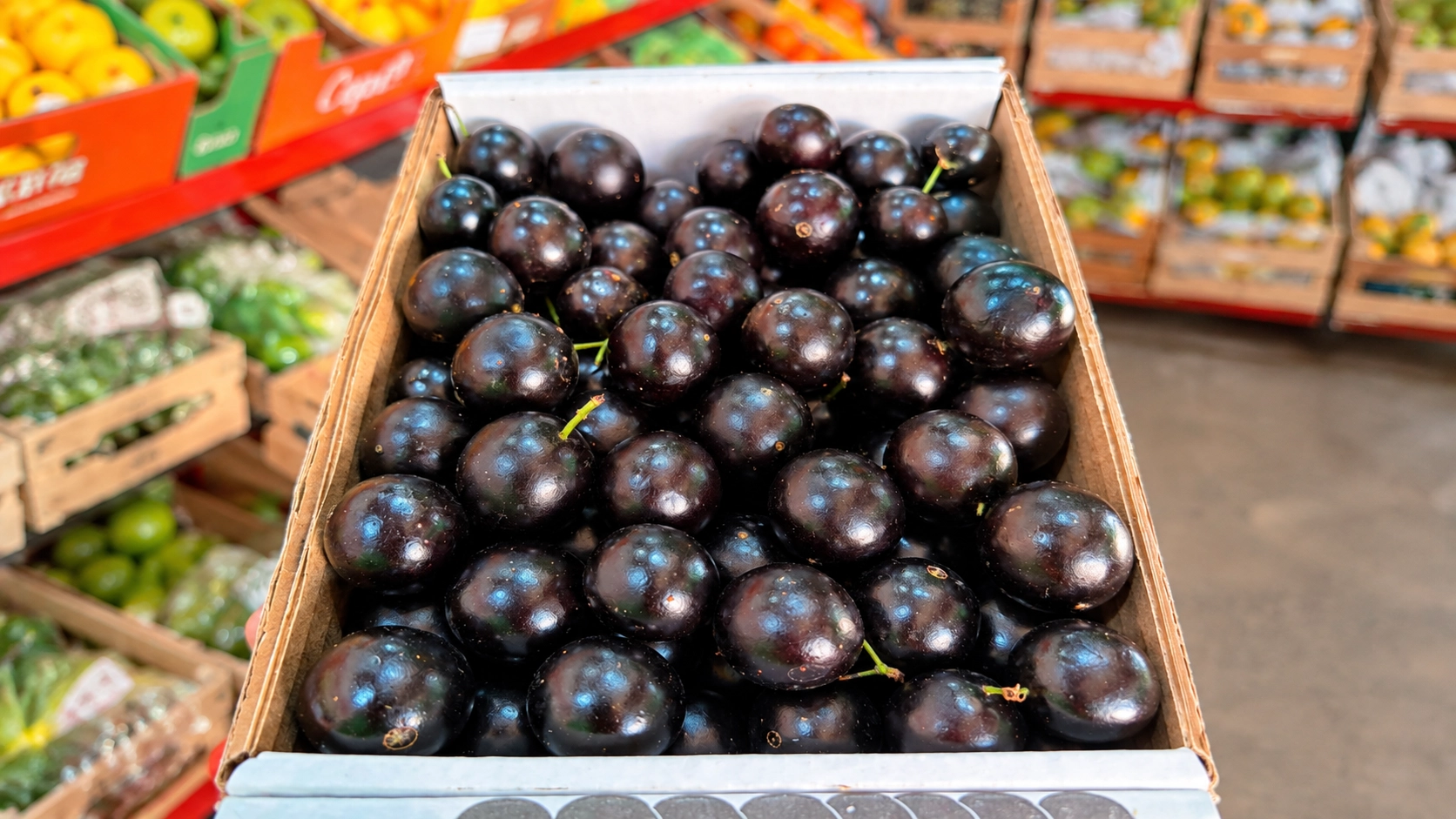 Jabuticaba: fruta brasileira ganha destaque na temporada e pode ser encontrada na CEASA/MS