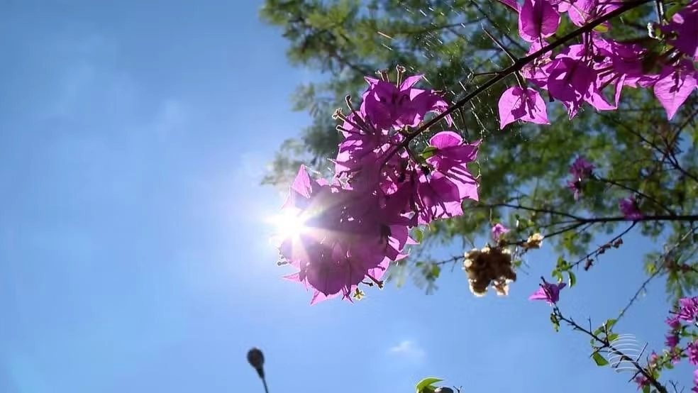 Primavera começa com previsão de calor acima da média e chuvas irregulares