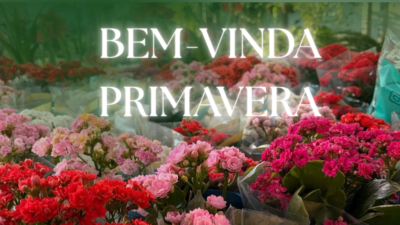 Primavera chega com novas cores e sabores na CEASA/MS