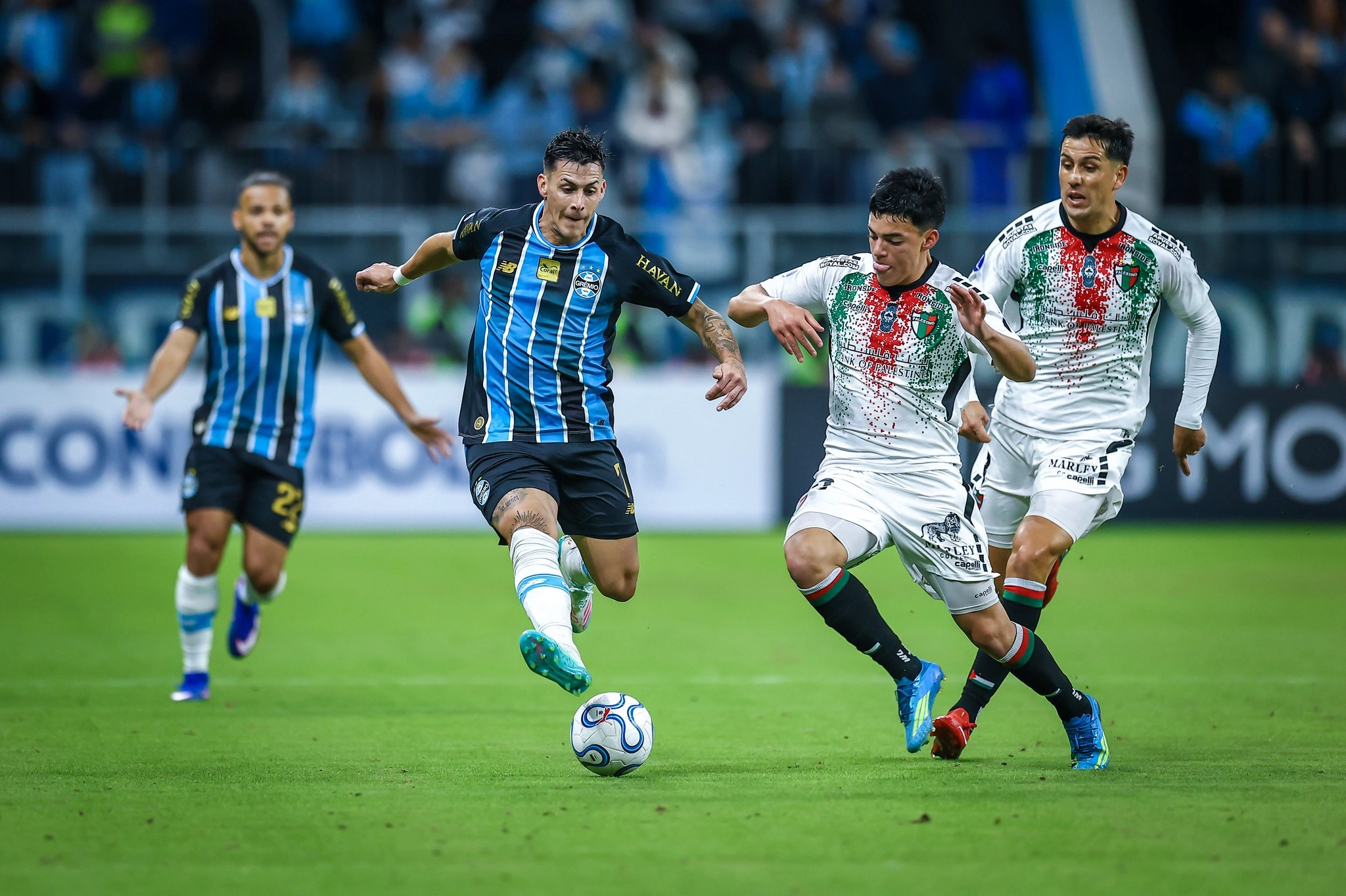 Imagem de exemplo