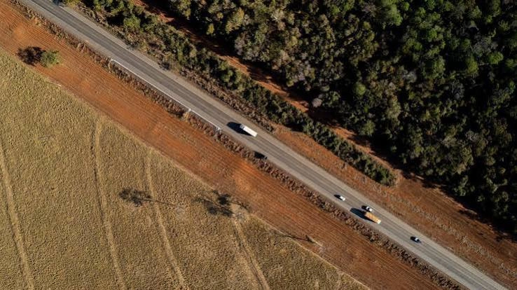 Fim da Moratória da Soja pode custar US$ 8,2 bilhões ao Brasil, estima WWF