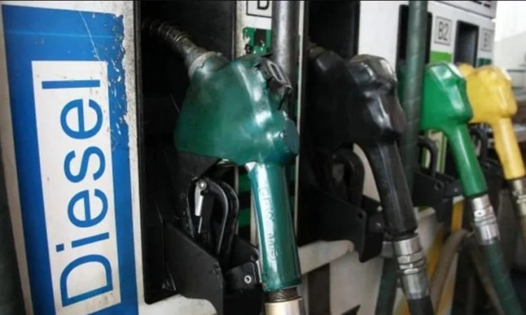 Petrobras anuncia alta de R$ 1 no diesel, mas novo subsídio mantém preço às distribuidoras