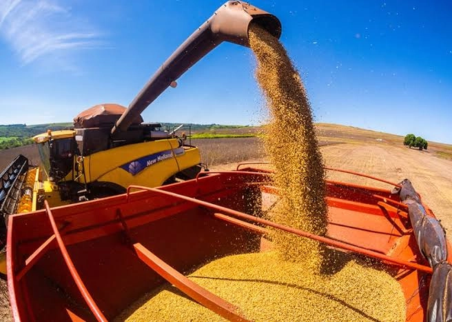 Processamento de soja será recorde em 2026
