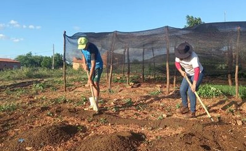 Dívidas de agricultores familiares chegam a R$ 8,5 bilhões e preocupam produtores no RS