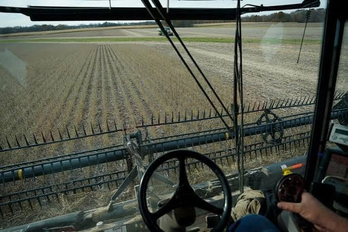 China reduz tarifas de produtos agrícolas dos EUA mas exclui a soja
