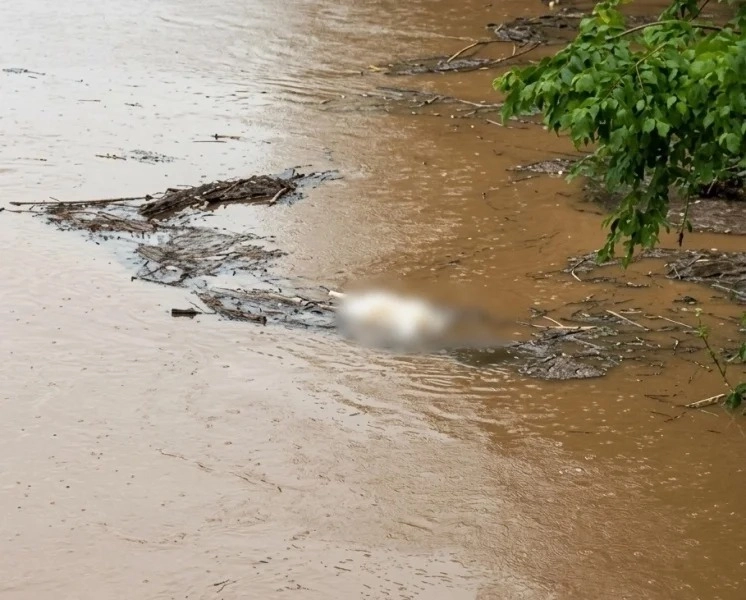 Corpo em decomposição é encontrado boiando no Rio do Peixe em Joaçaba