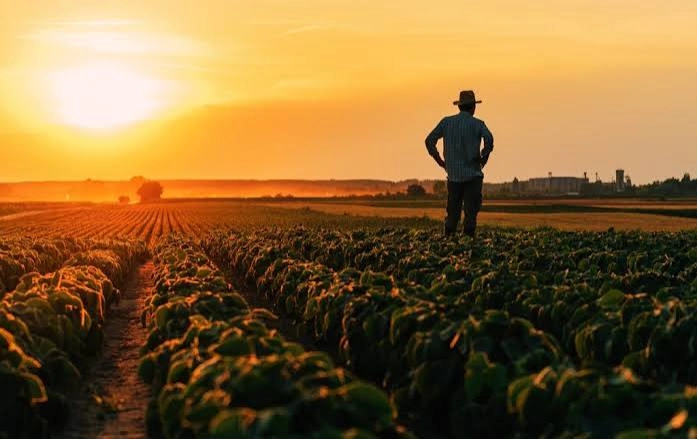 Governo gaúcho seleciona negócios inovadores do agronegócio para capacitação internacional