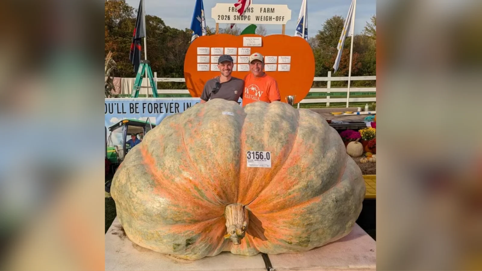 Abóbora gigante de quase 1.500 kg é colhida nos EUA e pode bater recorde mundial