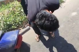 Imagem de exemplo