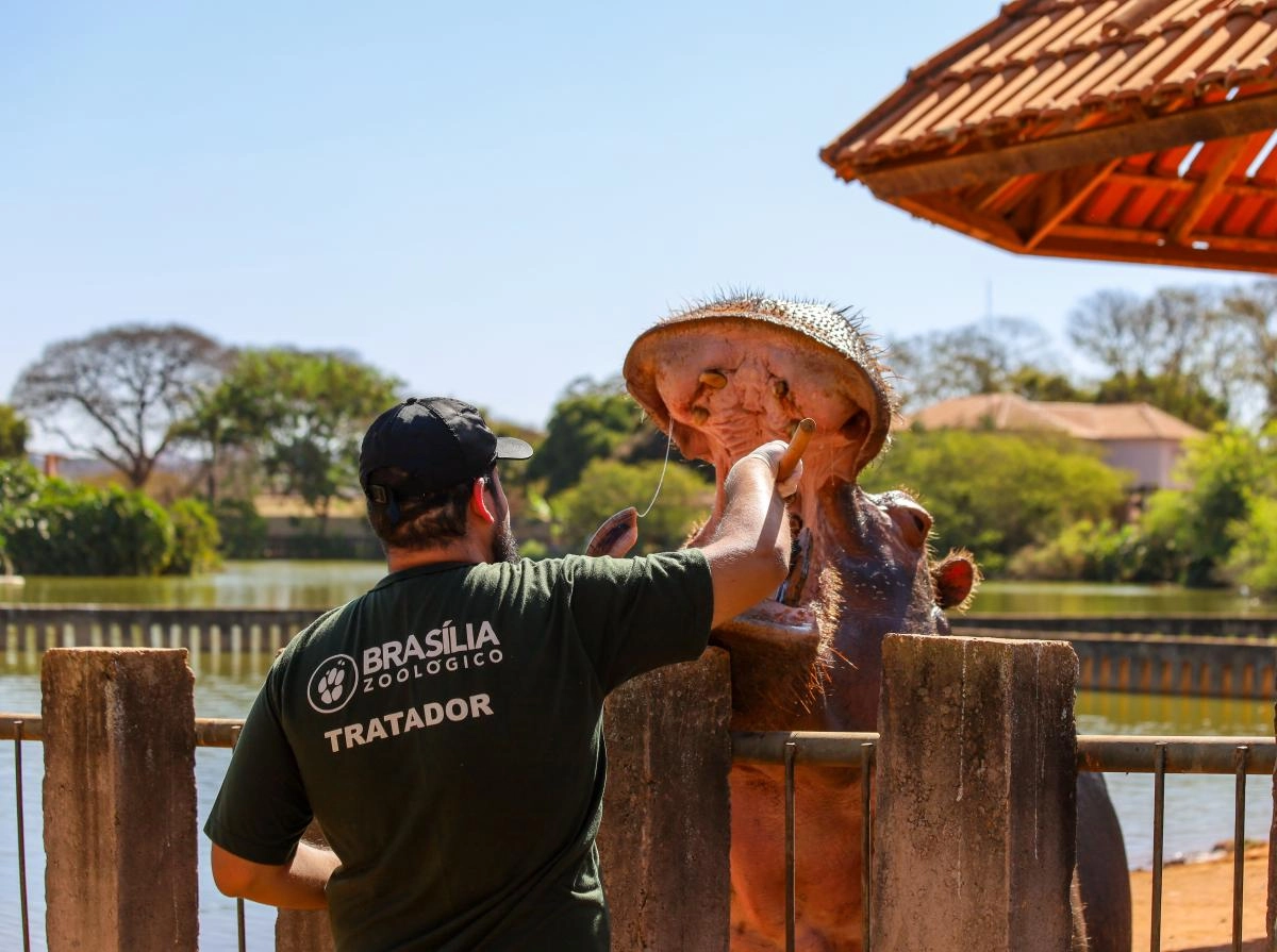 Imagem de exemplo