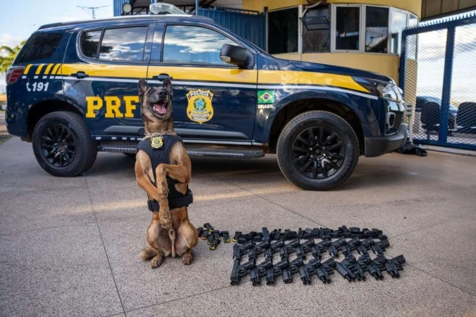 Imagem de exemplo
