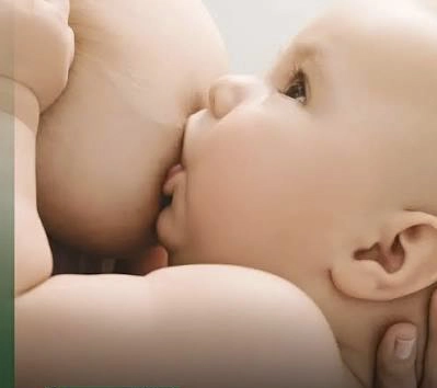 AMAMENTAÇÃO: Evento promove o acolhimento, a informação e a valorização deste ato de amor