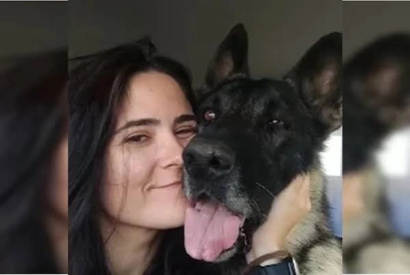 MORTE DA VETERINÁRIA NO SENADO: Polícia Civil investiga 'acidente de trabalho' do ataque do 'pastor belga' que matou