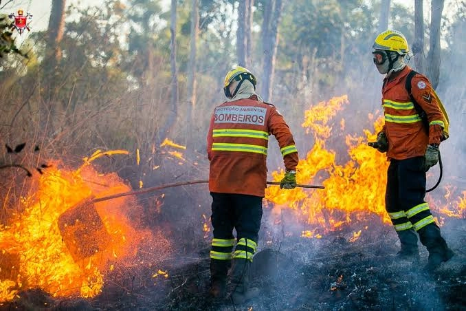 FOGO NO CERRADO: Corpo de Bombeiros combatem 40 focos de incêndio nas últimas 24 horas