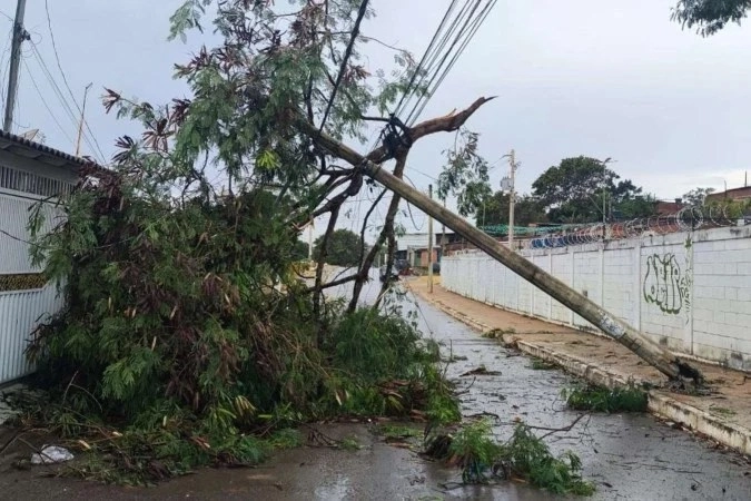 CHUVA, VENTO E QUEDA DE ÁRVORES: 'Temporal' atingiu Samambaia, Sobradinho, Vicente Pires e Valparaíso