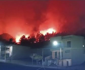 INCÊNDIOS FLORESTAIS: Saiba como agir caso "pegar fogo na mata" perto de sua casa