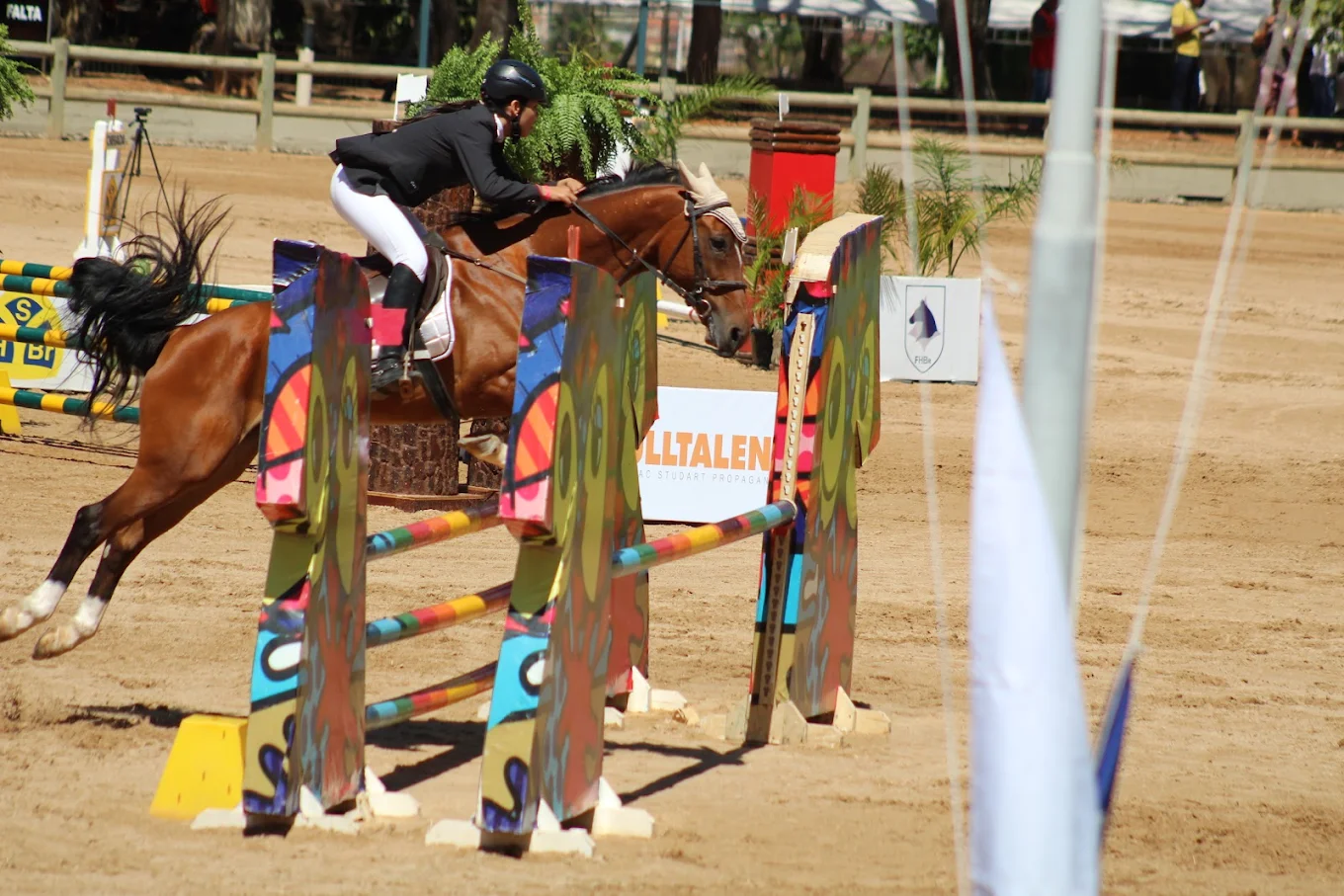 CAVALOS, CAVALEIROS E AMAZONAS: Sociedade Hípica de Brasília celebra 66 anos com três dias de competições