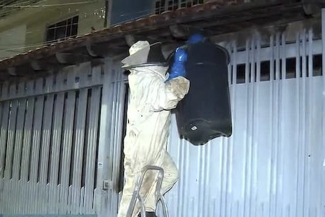 10 MIL ABELHAS: Apicultor usa fumaça e balde para retirar enxame de 'insetos' de casa em Taguatinga