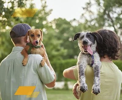 04/10 DIA MUNDIAL DOS ANIMAIS: Adoção responsável começa antes da chegada do animal em casa