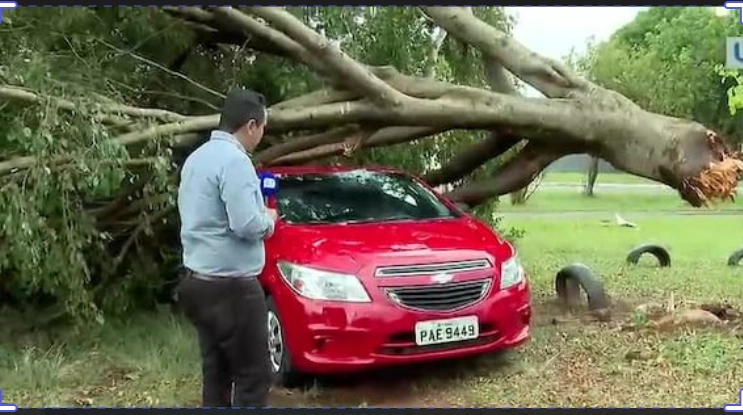 CHUVAS E VENTOS: Temporal provoca estragos em Ceilândia e derruba árvore sobre carro