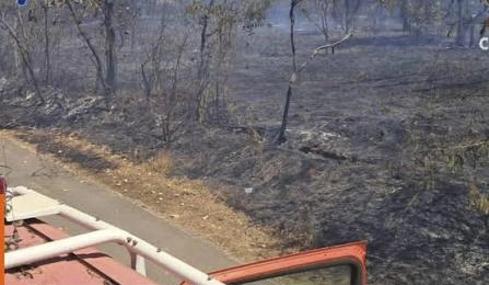 VEGETAÇÃO SECA: Bombeiros registram 12 incêndios no final de semana, principalmente Sobradinho