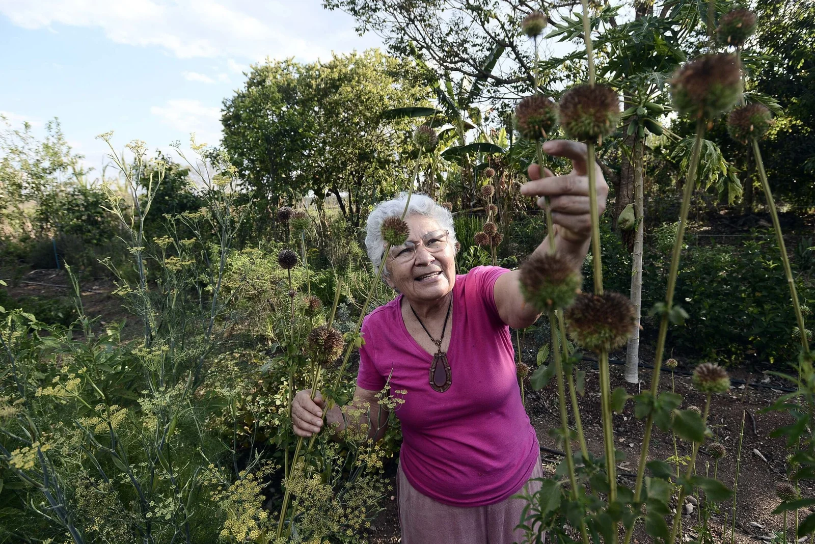 CERRADO: Guardiões locais lutam pela conservação da natureza