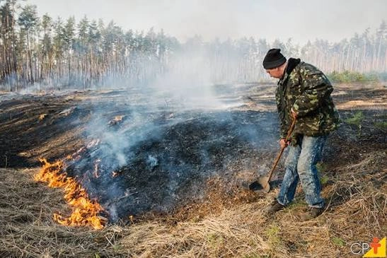 RISCO DE INCÊNDIOS FLORESTAIS: Por prevenção, GDF proíbe uso de fogo em vegetação por 60 dias