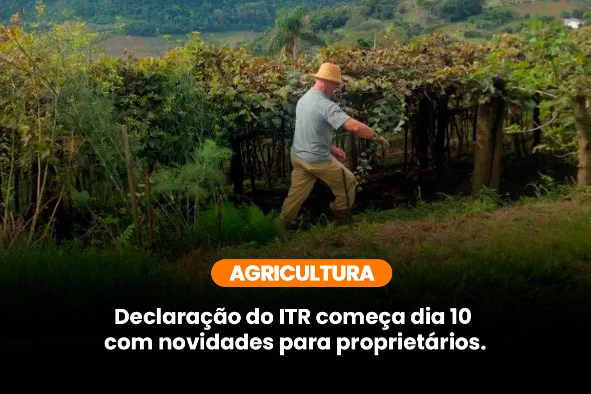 Declaração do ITR começa dia 10 com novidades para proprietários