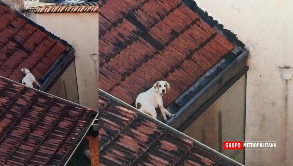 Imagem de exemplo