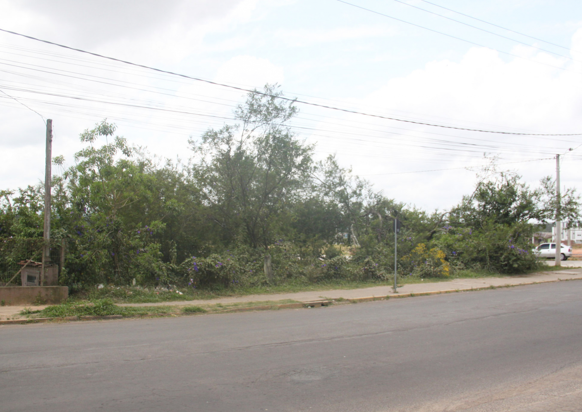 Gerson solicita limpeza em terreno cheio de lixo na Júlio de Castilhos