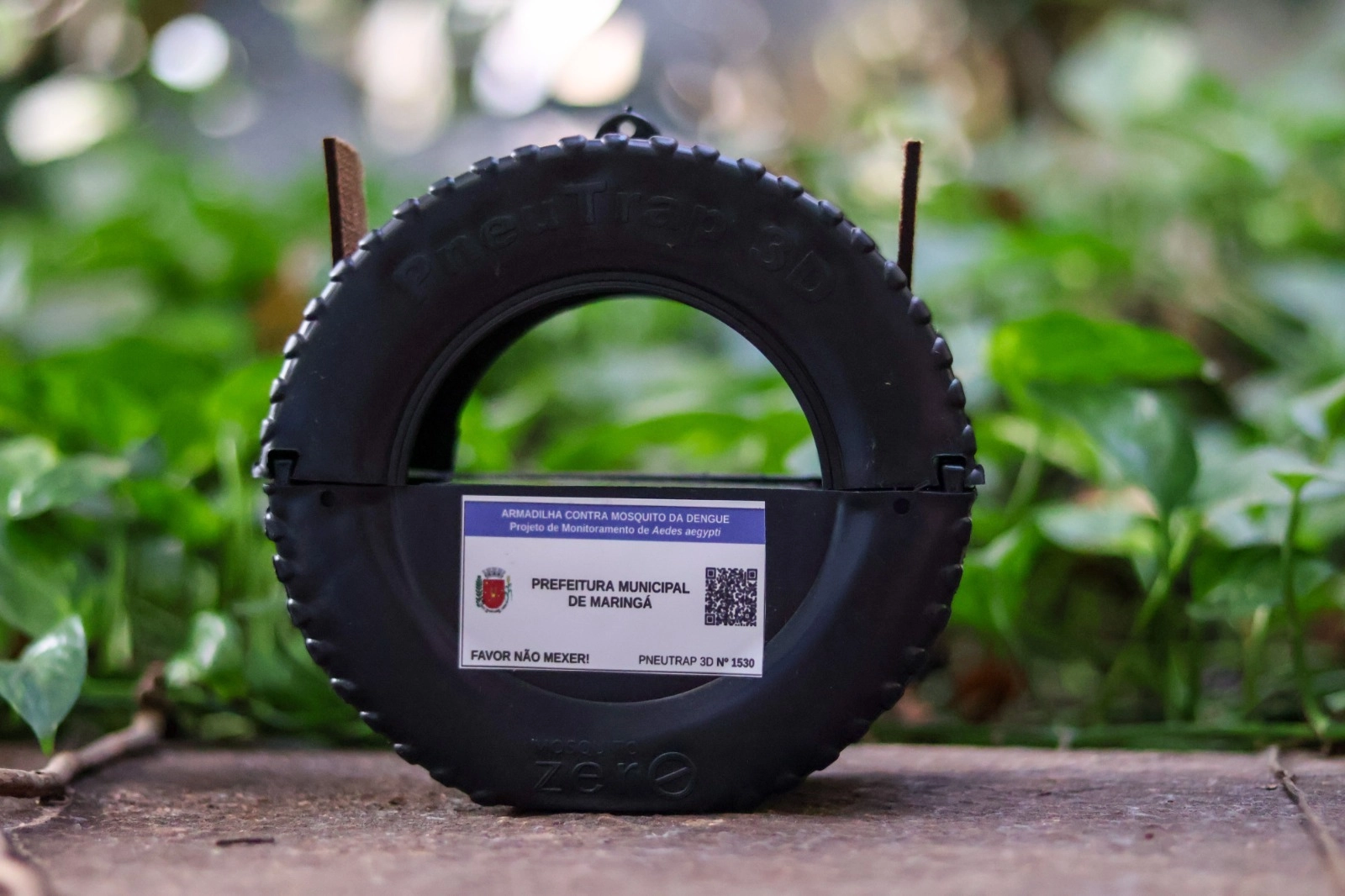 Pneutrap: nova tecnologia no combate à dengue começa a ser instalada pela Prefeitura de Maringá